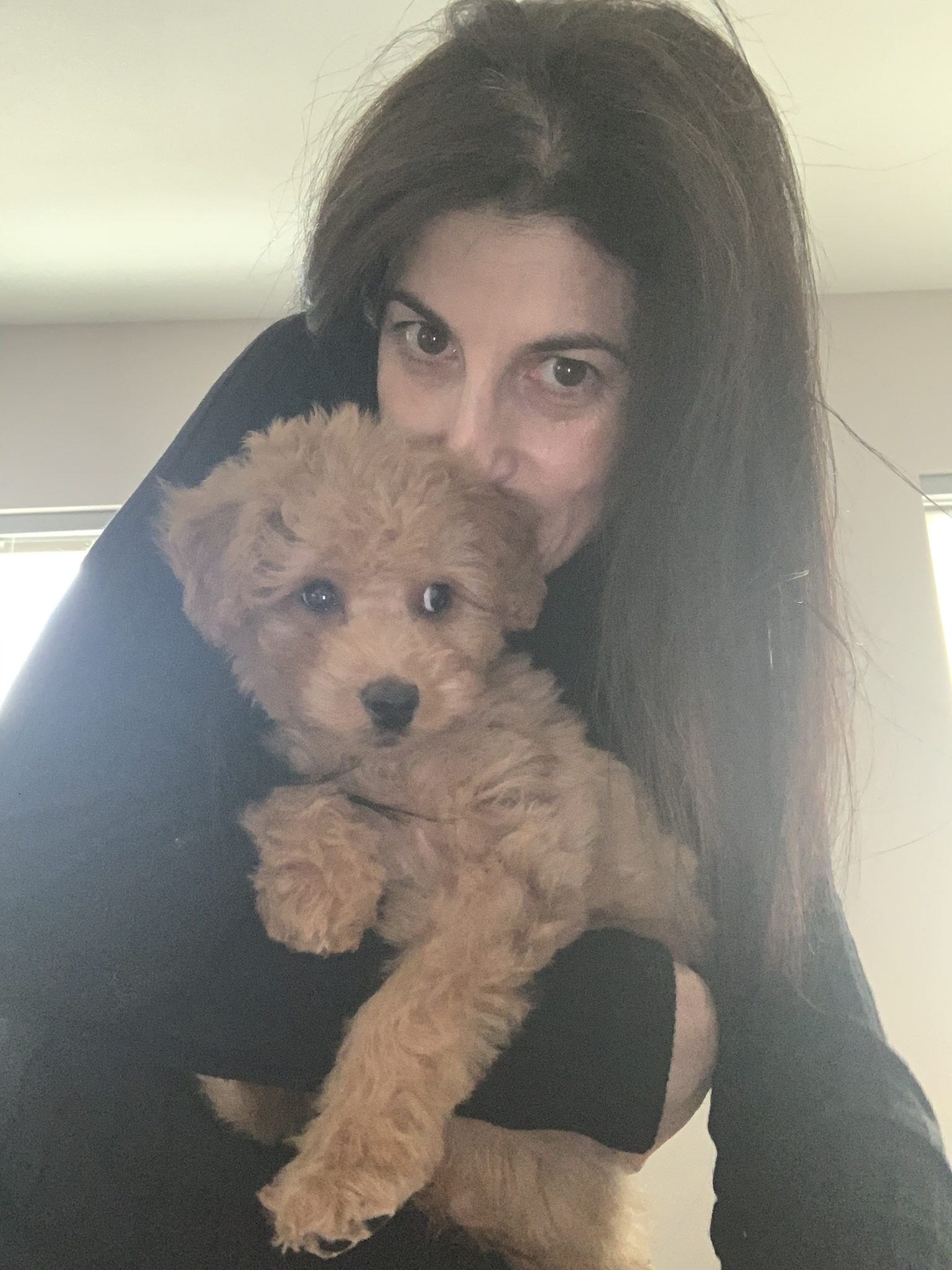 Generation Covid-19 Puppy: Me and the Dood